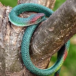 3 Pieces Rubber Snakes Realistic Large Lifelike