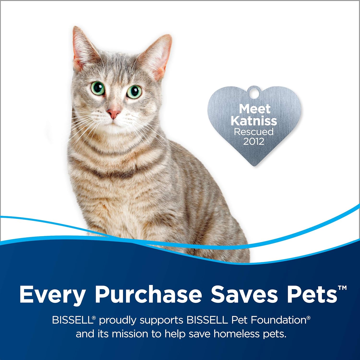 BISSELL Pet Multi-Surface Febreze Feshness for Crosswave and Spinwave (64 oz), 22951, 64 Fl Oz: Home & Kitchen