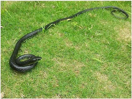 lifelike snakes for sale