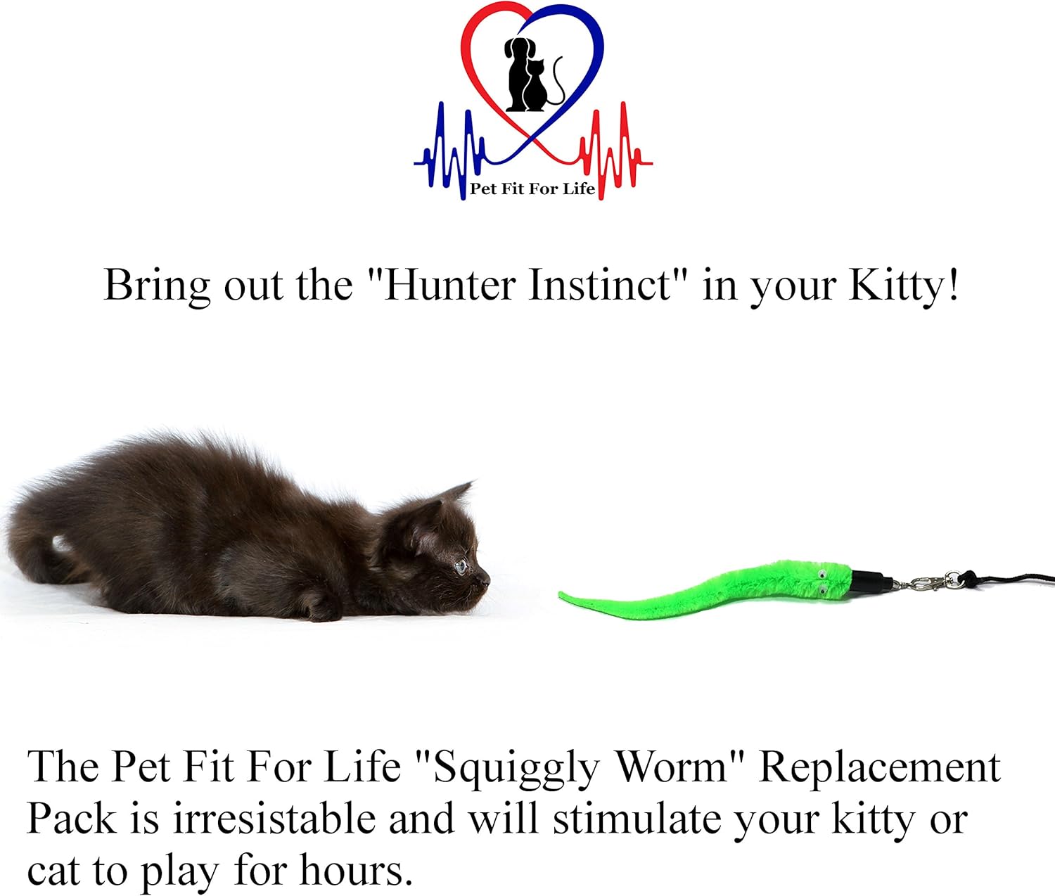 Pet Fit For Life 5 Piece Replacement Pack of Worms for Interactive Cat and Kitten Toy Wands : Pet Supplies