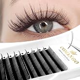 CoMango 5D Flora Spikes Lashes Spikes Lash Extensions Flower Wispy Eyelash Extensions C/D Culry Individual Premade Fans 5D Spikes Lashes Volume Lashes Natural Look(0.07-D-Mix8-15mm)