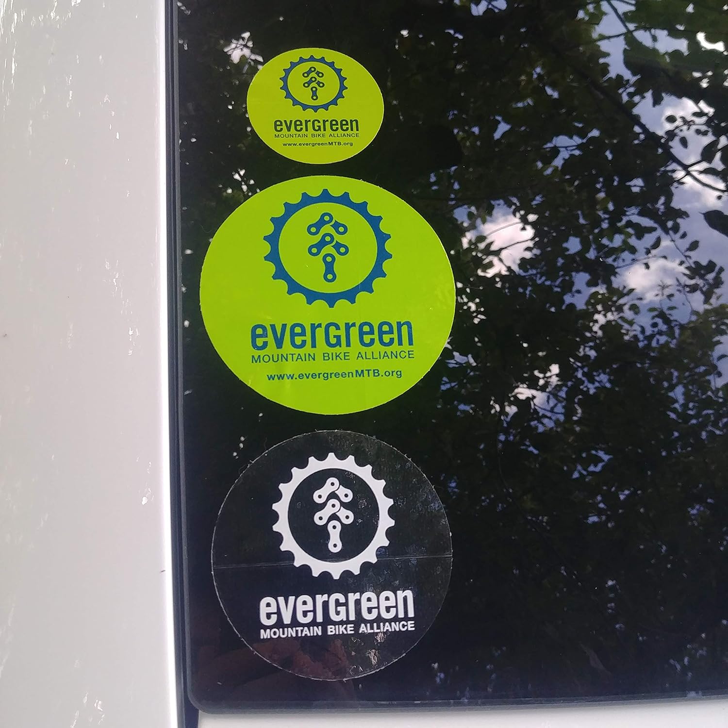 evergreen mountain biking