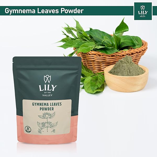 LILY OF THE VALLEY GYMNEMA SYLVESTRE LEAF POWDER – HERBAL GURMAR POWDER – VEGAN & GLUTEN – FREE – PACKED IN RESEALABLE POUCH (16OZ, 453G)
