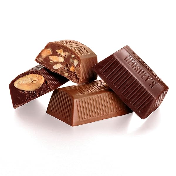 HERSHEY’S NUGGETS ASSORTED CHOCOLATE CANDY PARTY PACK, 31.5 OZ