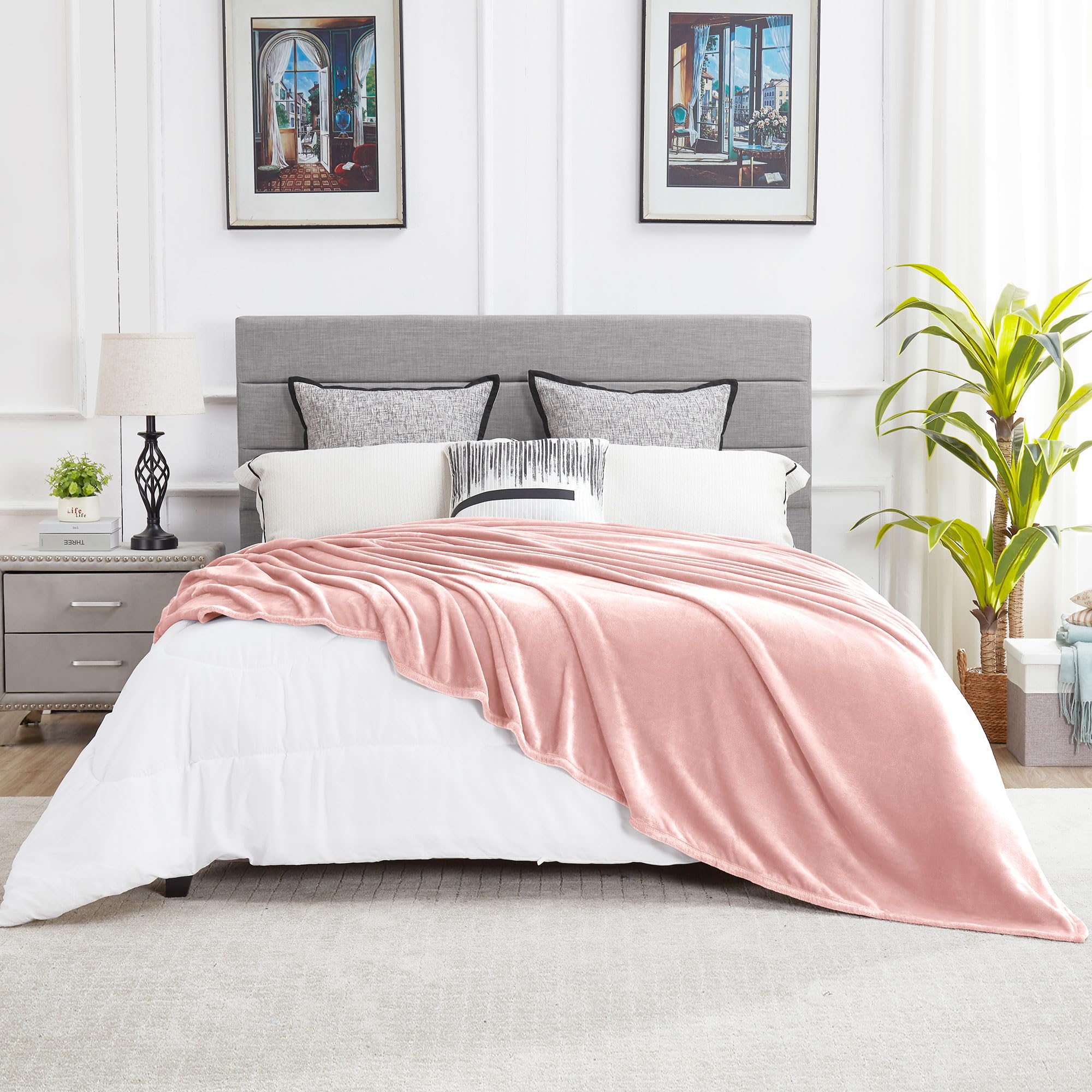 DREAMNINE Oversized Soft Plush Fleece Throw Blanket