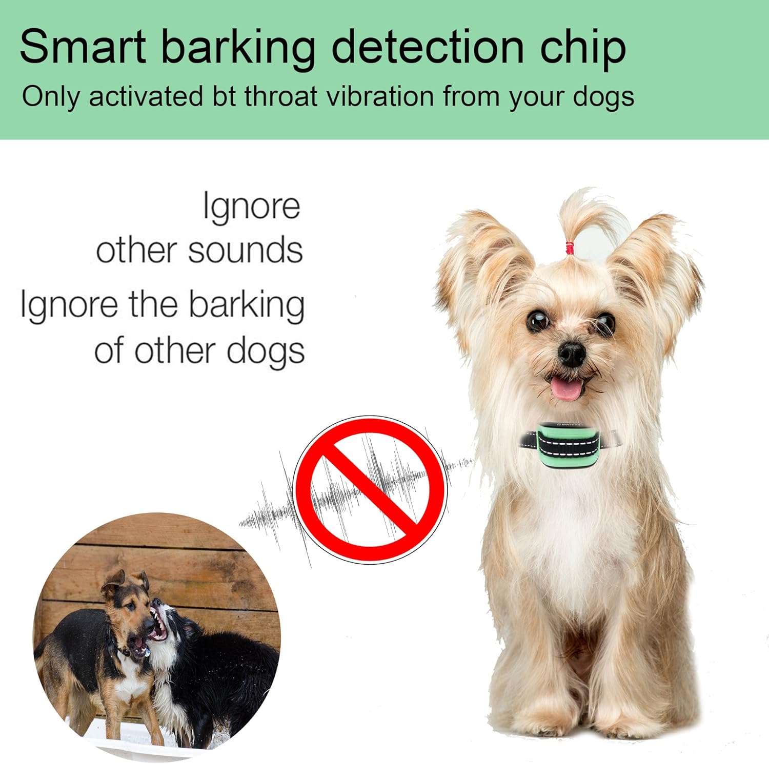 no bark sound