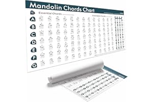 TIMITA Mandolin Chords Chart Poster, Essential & Extended Mandolin Chords Reference Guide with Finger Positions and Fretboard Notes – Rolled in Tube, Not Folded