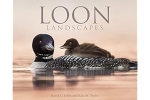 Loon Landscapes