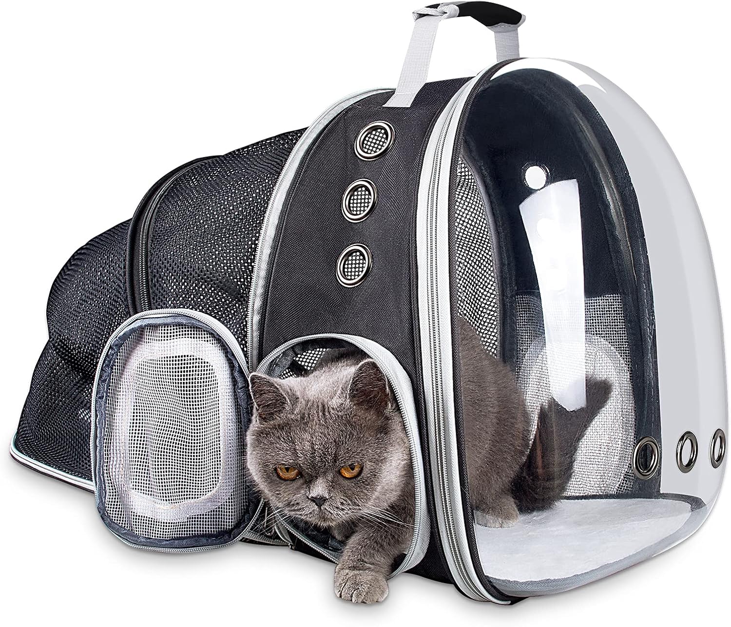cat walking backpack