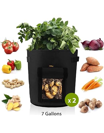 Bolsas para plantas | Amazon.es