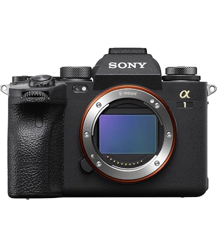 Amazon.com : Sony Alpha 1 Full-Frame Interchangeable Lens