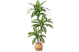 Ferrgoal Artificial Plants, 5 Ft Dracaena Tree Faux Plants Indoor Outdoor Decor Fake Tree with Woven Seagrass Basket Plants for Home Decor Office Living Room Porch Patio Housewarming