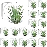 24 Pcs Air Plants Holder, Acrylic Air Plant Hanger with Mounting Tape for Hanging Air Plants on Glass Display Home Decoration