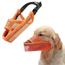 Crazy Felix Nylon Dog Muzzle for Small Medium Large