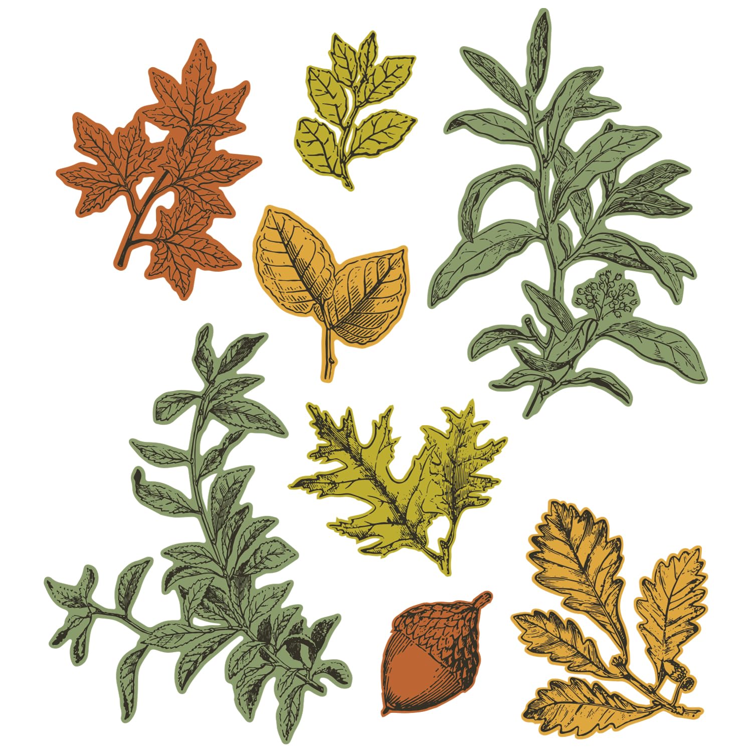 Sizzix A5 Clear Stamps w/Framelits Die Forever Leaves by 49 and Market