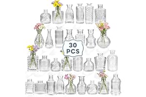 Yirilan Flower Vase, Set of 30 Bud Vases for Wedding Decor, Transparent Small Vases, Bud Vases Bulk, Suitble for Tables, Livi