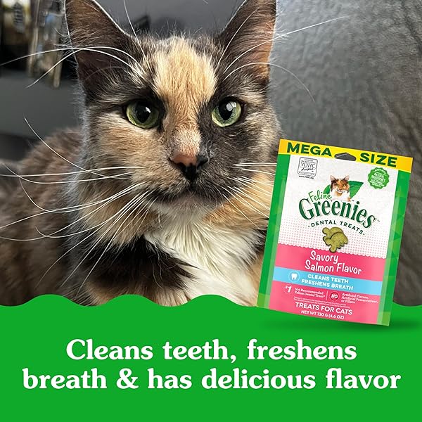 GREENIES CAT TREATS, FELINE VETERINARIAN-RECOMMENDED ADULT NATURAL DENTAL CAT TREATS, SAVORY SALMON FLAVOR, 4.6 OZ. POUCH