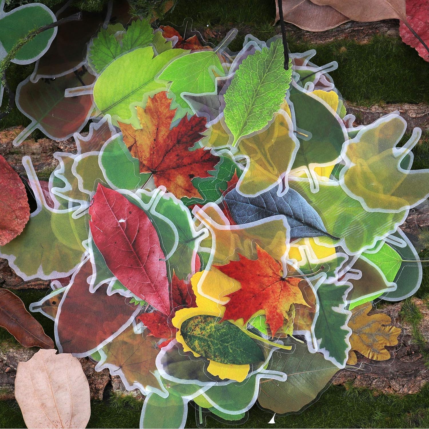 RisyPisy 240pcs Leaves Sticker Set, Various Special Shaped Botanical Stickers, 8 Pack Deep Autumn Leaves, Nature Washi Stickers for DIY Craft, Planners, Bullet Journal, Notebook, Laptop, Cell Phone