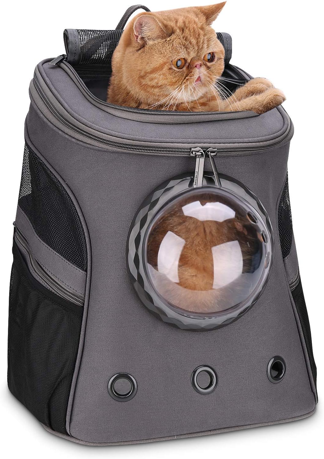 fat cat backpack carrier