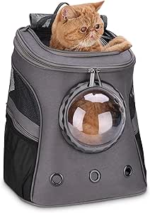 orange cat backpack