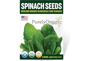PURELY ORGANIC PRODUCTS LLC Organic Spinach Seeds (Bloomsdale Long Standing) - Approx 300 Seeds - USDA Organic, Non-GMO, Open Pollinated, Heirloom, USA Origin