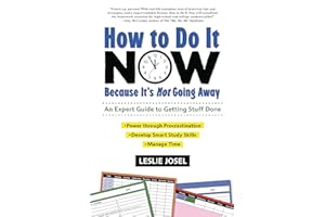 How to Do It Now Because It's Not Going Away: An Expert Guide to Getting Stuff Done