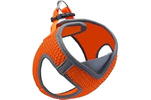 KRUZ PET KZA308-08L Reflective V-Neck Step in Mesh Dog Harness - No Pull, Quick Fit, Comfortable, Velcro-Adjustable Pet Harnesses for Walking & Training - Small, Medium Dogs - Orange,Large