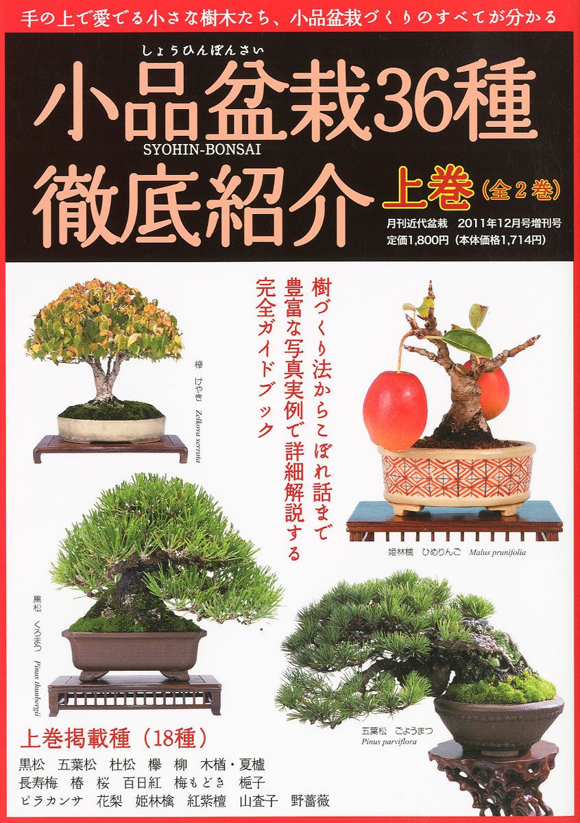 小品盆栽36種 徹底紹介 上巻 11年 12月号 雑誌 Amazon Com Books