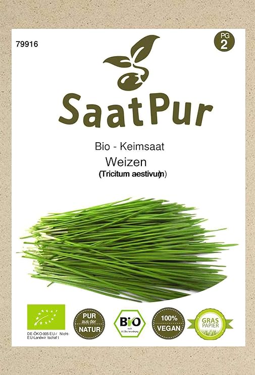 SaatPur Bio Keimsprossen - Weizen Sprossen, Weizengras Keimsaat - 75g