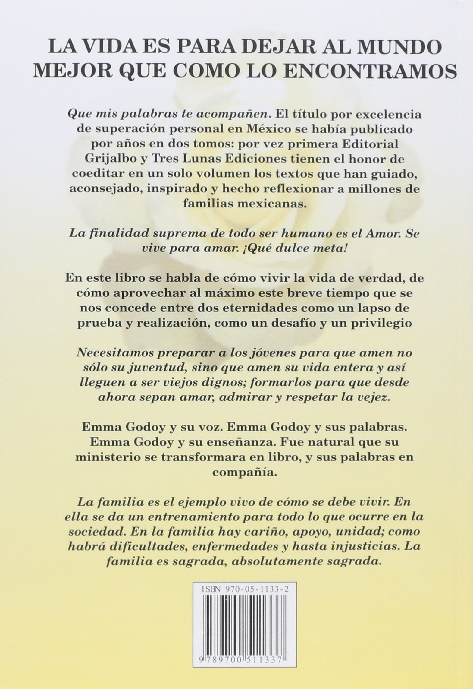 Que Mis Palabras Te Acompanen Audio Libro De La Maestra Emma Godoy Capitulo 14 Video Dailymotion