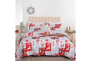 FROZZUR Quilts Queen Size Christmas Patchwork Quilt with Santa Claus Red Stocking Bedspreads Queen Size Snowman Reindeer Soft Coverlet 2 Pillow Cases