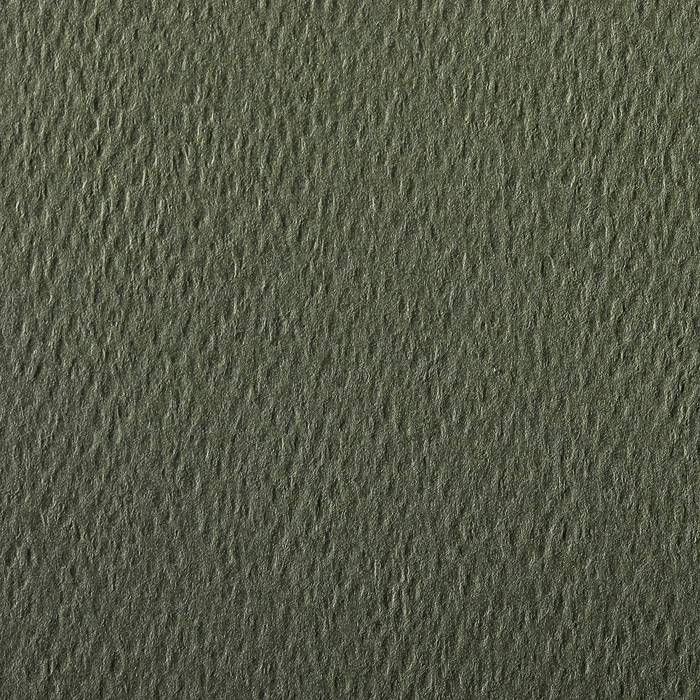 Clairefontaine - Ref 93886C - Etival Coloured Grained Drawing Paper (Pack of 25 Sheets) - A4 (29.7 x 21cm) - 160gsm Cellulose Art Paper - Sea Green - Acid Free, pH Neutral