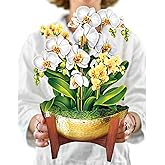 Freshcut Paper Pop Up Cards, Serenity Orchid, 12 Inch Life Sized Forever Flower Bouquet 3D Popup Greeting Card, Birthday Cards, Get Well Gifts, Blank Notecard & Envelope