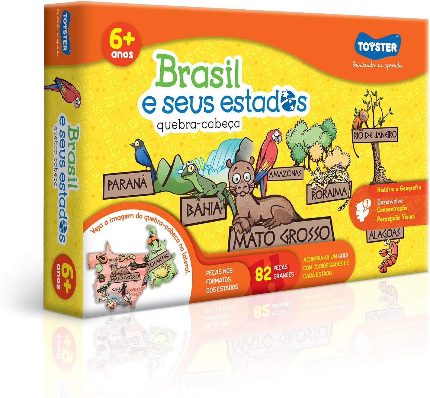 Brasil e seus estados