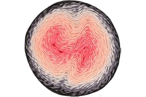 Scheepjes Yarn Whirl Ombre - 1111 Yards, 60% Cotton Yarn for Crocheting, Knitting Kit & Crafts, 40% Acrylic Yarn, Softly Color Changing Crochet Kit, Extra Large Yarn Cake(Watermelon Hell Raiser)
