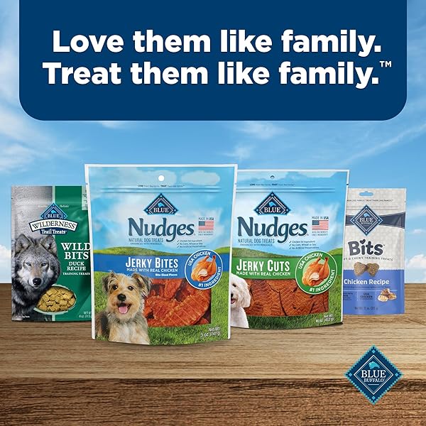 BLUE BUFFALO NUDGES JERKY BITES DOG TREATS, MADE IN THE USA WITH NATURAL INGREDIENTS, BITE-SIZED PIECES, CHICKEN, 5-OZ BAG