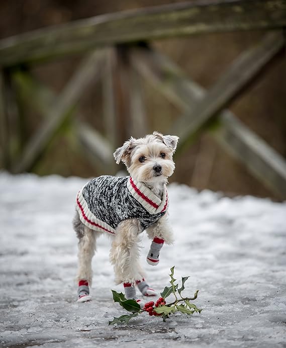 rc pets cabin sweater