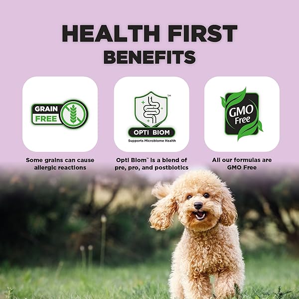 NATURE’S HUG DRY DOG FOOD, FOR ADULT-TOY & SMALL BREEDS, 5 LB. BAG, CHICKEN FLAVOR PLANT-BASED PROTEIN KIBBLE, GRAIN-FREE, ALLERGEN-FREE, COMPLETE PROTEIN & BALANCED NUTRITION
