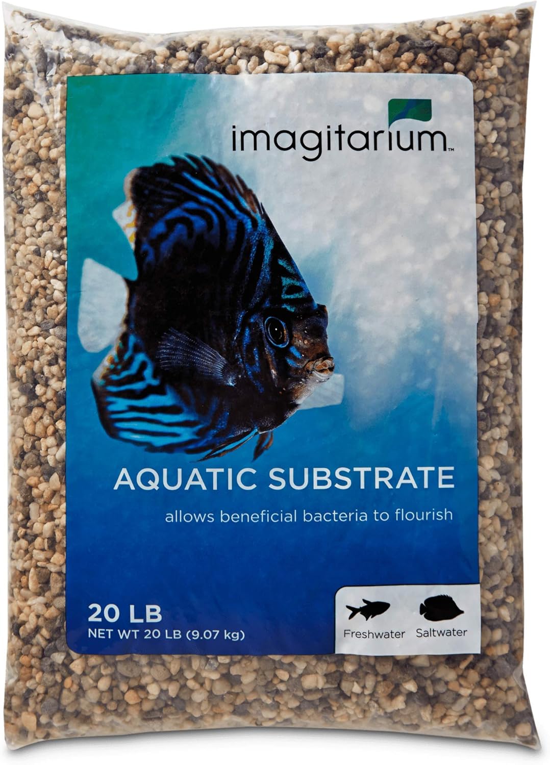 The Best Substrates For Pleco Fish [Types Of Substrates] FishTrivia
