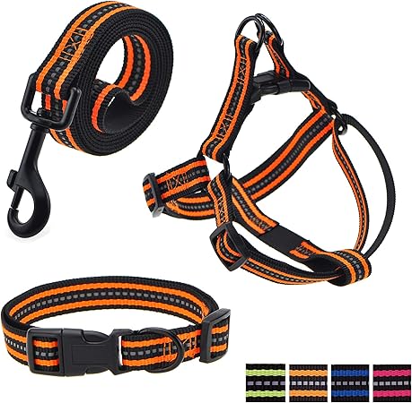 dog collar leash and harness sets
