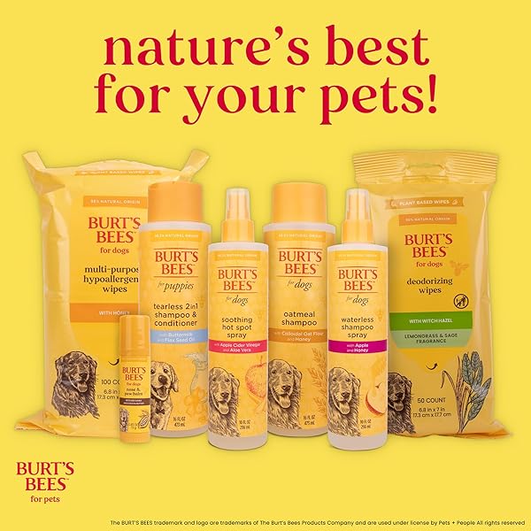 BURT’S BEES FOR PETS EYE & EAR CLEANSING WIPES FOR DOGS, FRAGRANCE-FREE, 98% NATURAL ORIGIN FORMULAS, GENTLE SPOT CLEANING SHEETS FOR DOG EYES AND EARS, 100 COUNT