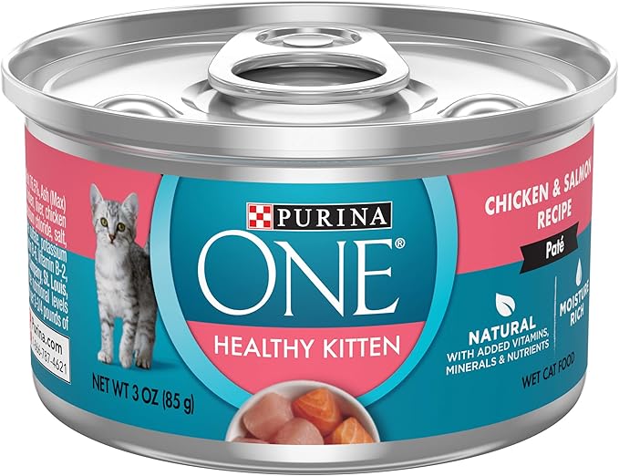 best inexpensive kitten food