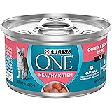 purina pro plan wet kitten food