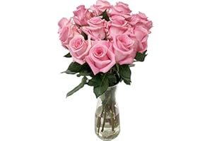 Farm Direct Fresh Pink Roses | Flower Bouquet of 24 Fresh Roses (2 Dozen) + Vase Included - Roses for Delivery