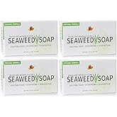 Reviva Seaweed Soap - 4 Pack - Organic Seaweed Face Scrub and Exfoliating Body Scrub Soap Bar - 4.5 oz. Vegetable Base Natural Bar Soap and Seaweed Bath Detox Soap Made in the USA