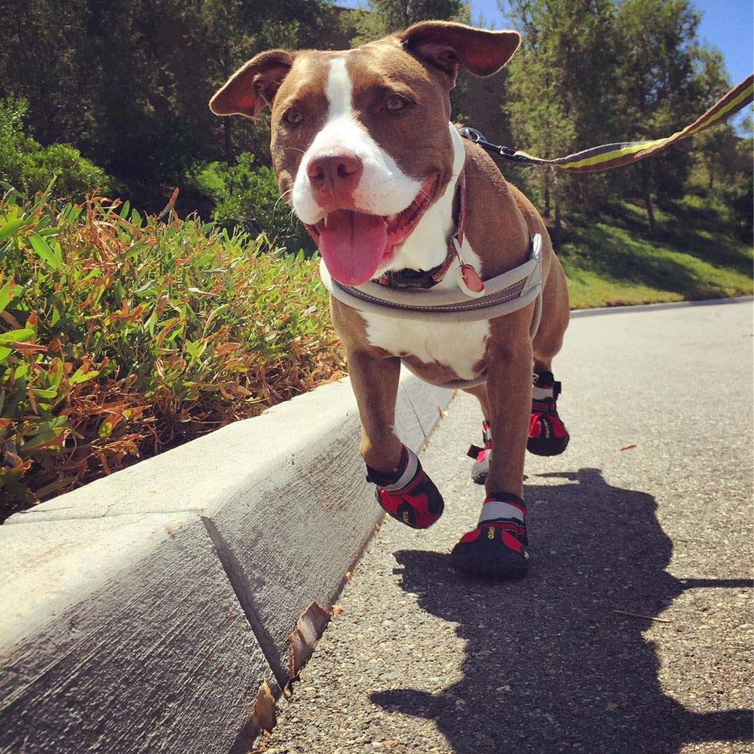 QUMY Dog Shoes for Medium Large Breed Dogs Boots Rugged Non Slip with Reflective Tape Pet Booties