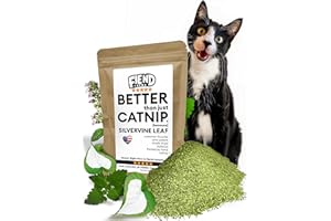 Fiend Catnip + Silvervine for Cats & Kittens Enhanced with Kind Silver Vine – Small Pack ⅓ Cup (11g) Safety-Cut Premium Fine Cat Nip Blend – Ultra Potent, North American –Go Ahead, Create a Monster!