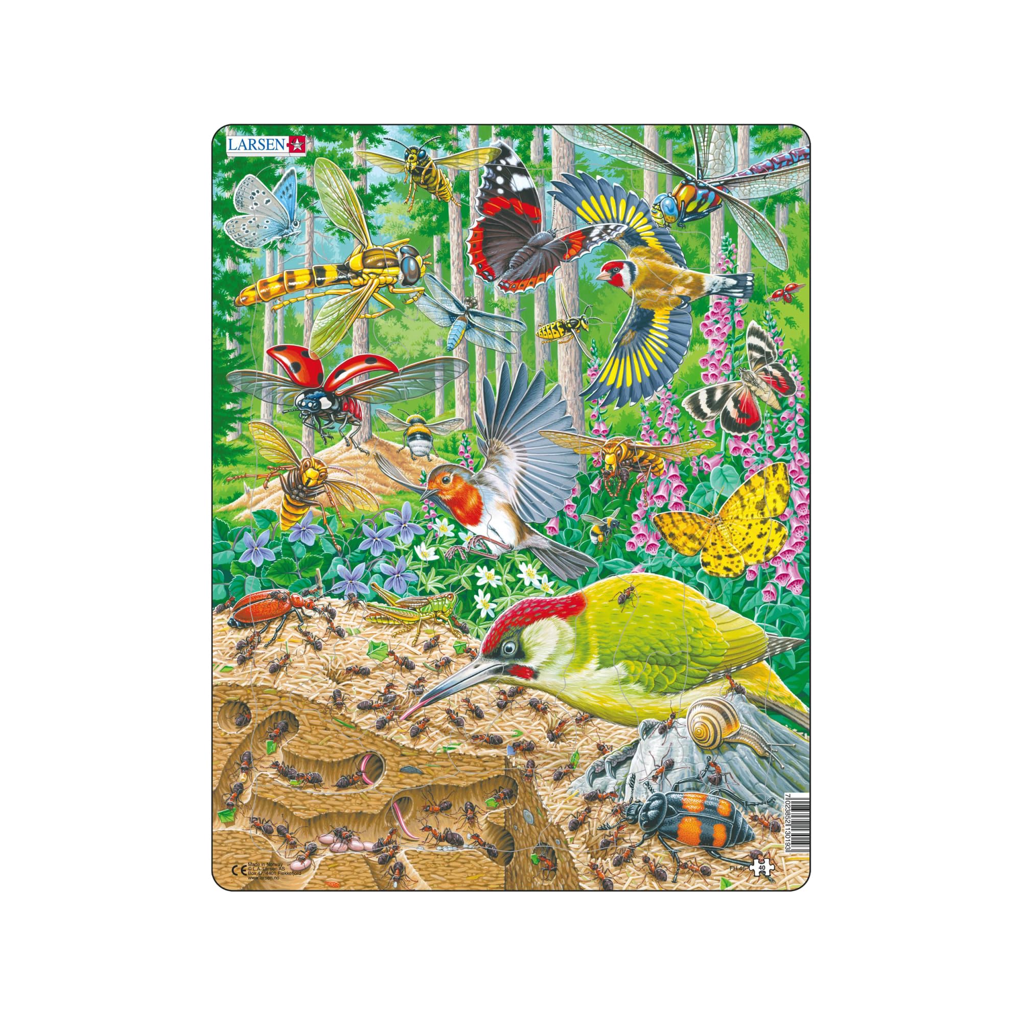 Larsen FH46 Forest Floor Wildlife Puzzle – 40-Piece Tray & Frame Jigsaw, Educational Nature Puzzle for Kids with Bees, Birds & Butterflies