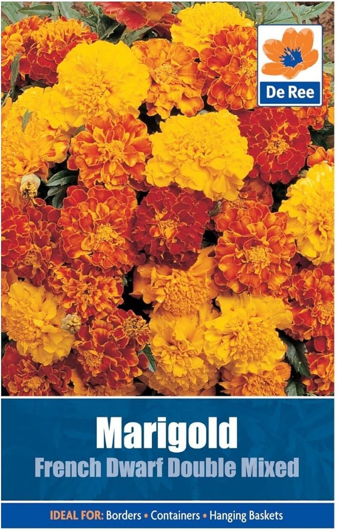 Marigold French Dwarf Double Seeds Amazon.co.uk Garden & Outdoors