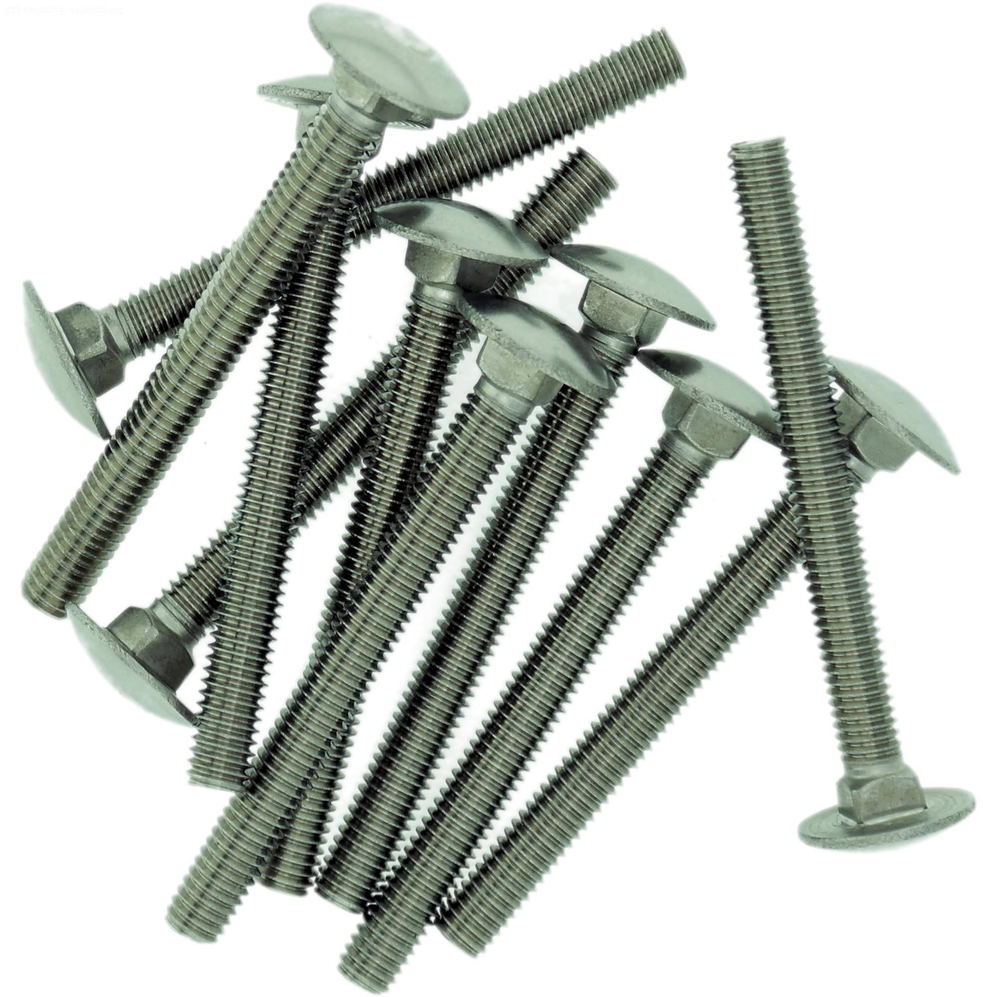 M6 (6mm x 20mm) Cup Square Carriage Bolt (Fully Threaded) - Stainless Steel (A2) (Pack of 10)